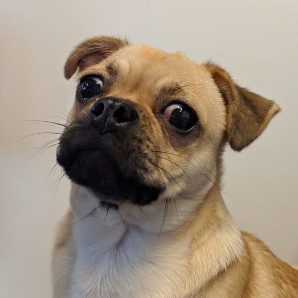 Dobby Edwards